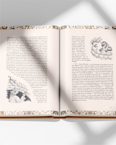 Le Roman de Renart : beau livre illustré