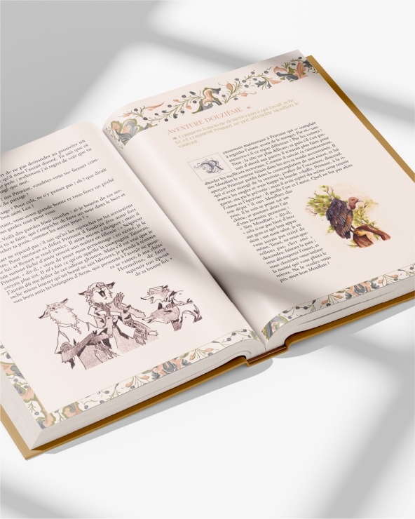 Le Roman de Renart : beau livre illustré