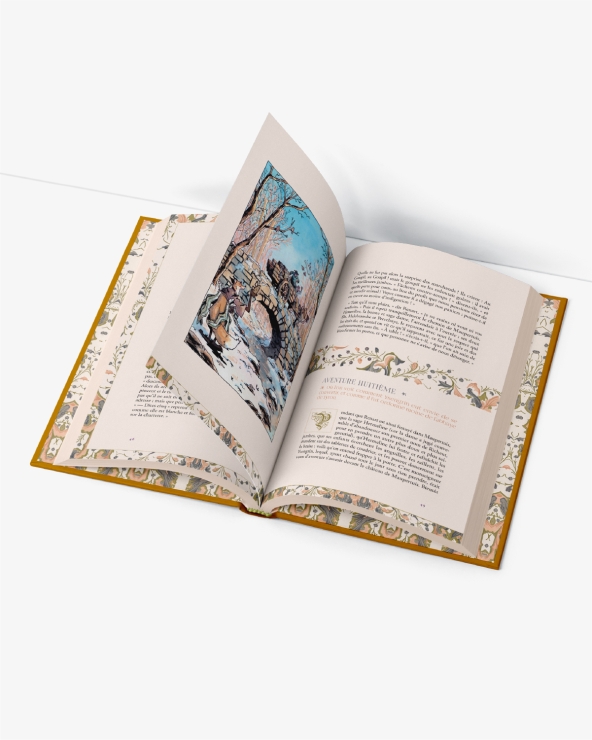 Le Roman de Renart : beau livre illustré