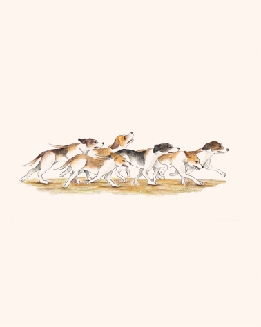 Tirages du Bestiaire du Roman de Renart