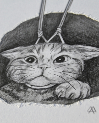 Illustration Originale du Roman de Renart