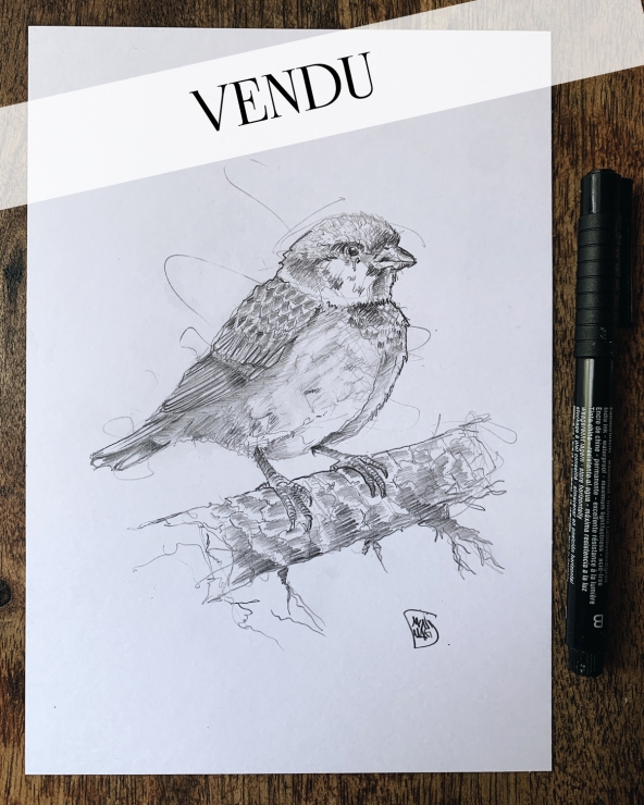 Illustration Originale du Roman de Renart
