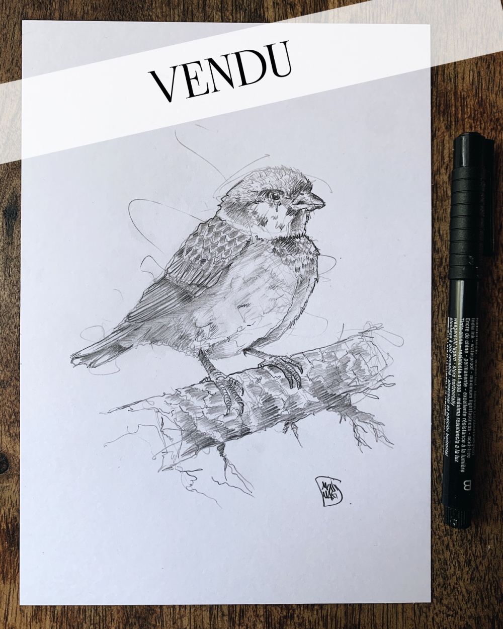 Illustration Originale du Roman de Renart