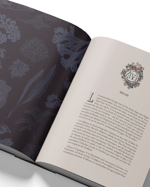 20 000 Lieues sous les Mers : beau livre illustré