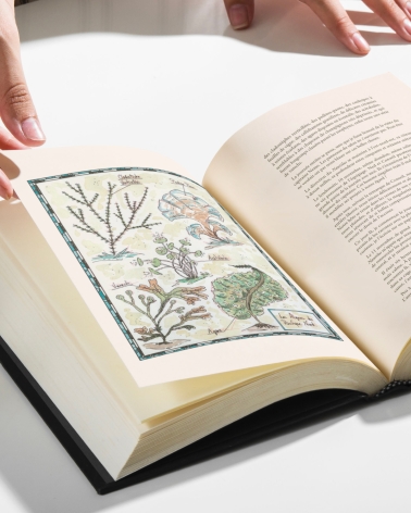 20 000 Lieues sous les Mers : beau livre illustré