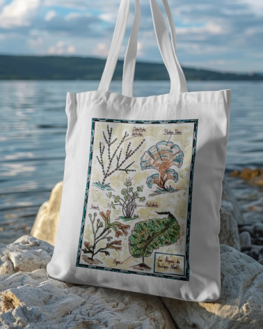 Tote-bag Planche botanique, les algues, illustration de Thomas Vernus