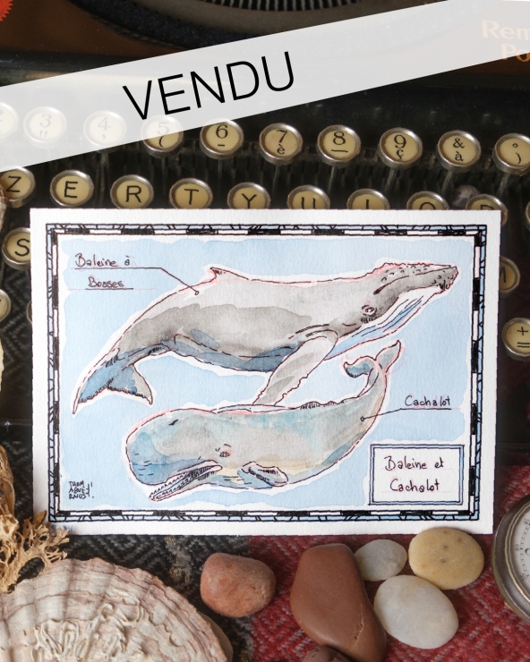 Illustration Originale de Thomas Vernus pour 20 000 Lieues sous les Mers de Jules Verne.