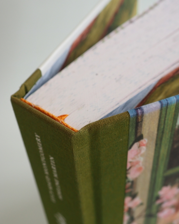 Anne de Green Gables : beau livre illustré