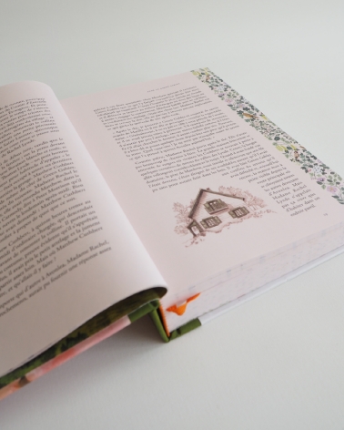 Anne de Green Gables : beau livre illustré