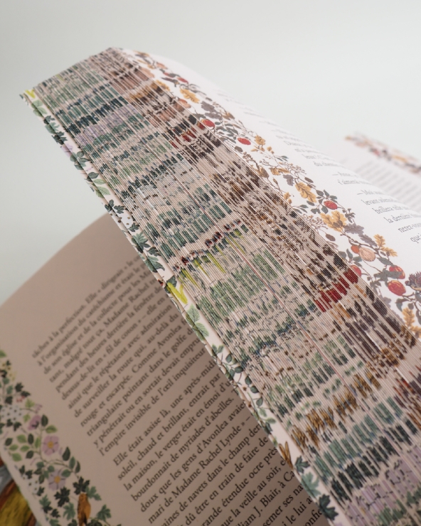 Anne de Green Gables : beau livre illustré