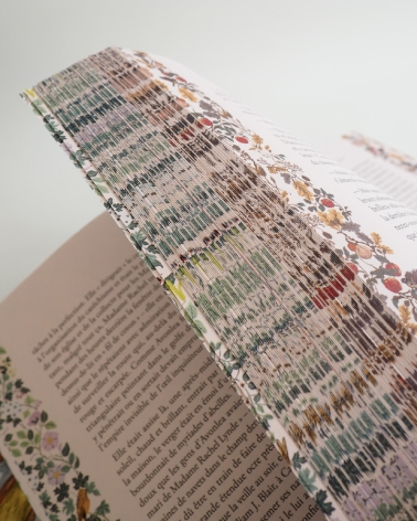 Anne de Green Gables : beau livre illustré
