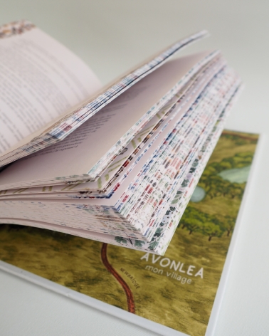 Anne de Green Gables : beau livre illustré