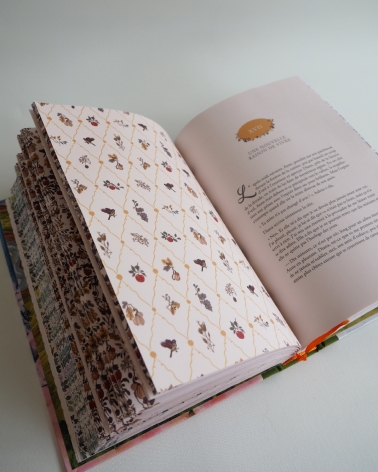 Anne de Green Gables : beau livre illustré