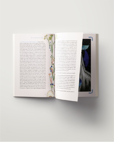 She, elle qui doit être obéie d'Henri Rider Haggard illustré par Séverine Pineaux