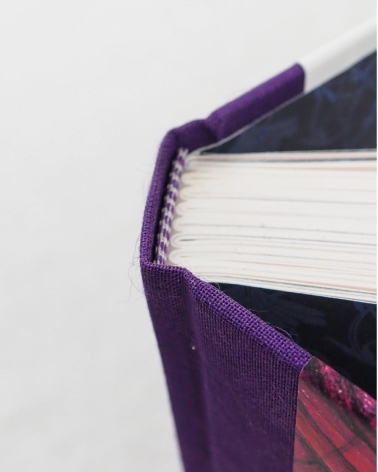 Chéri de Colette illustré par Naïade Lacolomb