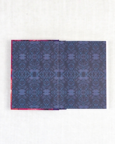 Chéri de Colette illustré par Naïade Lacolomb