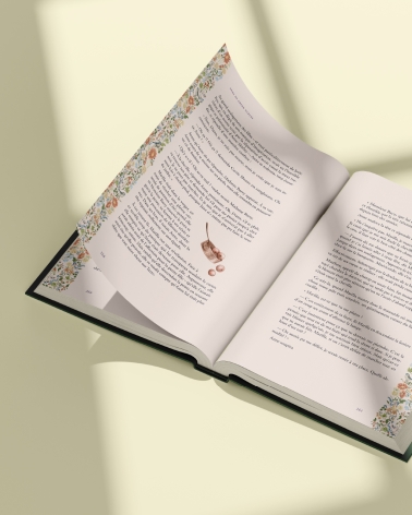 Anne de Green Gables : beau livre illustré