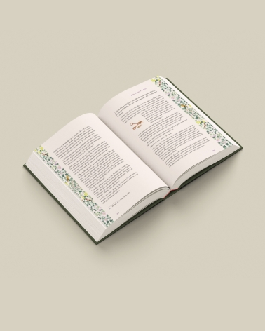 Anne de Green Gables : beau livre illustré