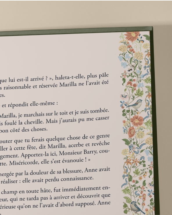 Anne de Green Gables : beau livre illustré