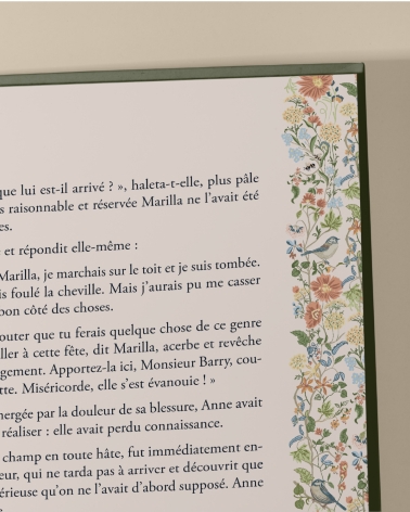 Anne de Green Gables : beau livre illustré
