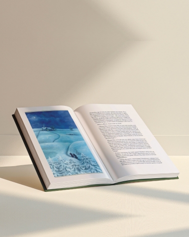 Anne de Green Gables : beau livre illustré