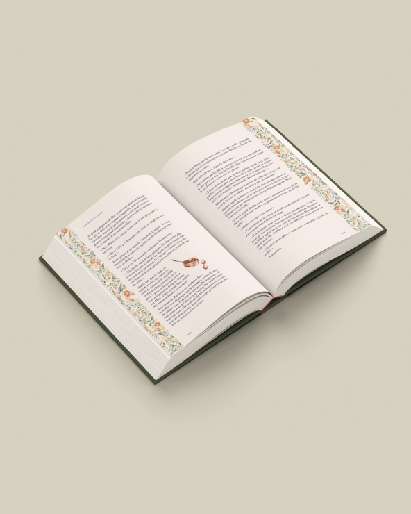 Anne de Green Gables : beau livre illustré