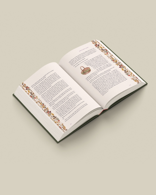 Anne de Green Gables : beau livre illustré