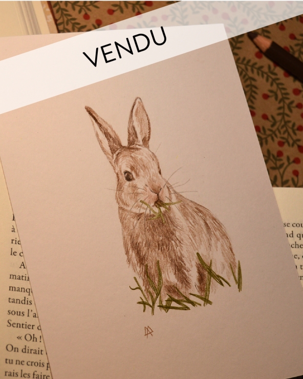 Illustration Originale d'Adeline Martin pour Anne de Green Gables